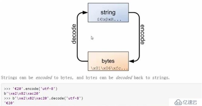 Python 之 Byte数据类型 (二进制)