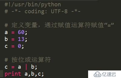 Python位运算符