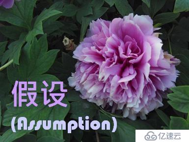 設(shè)計思維的要素：假設(shè)(Assumption)