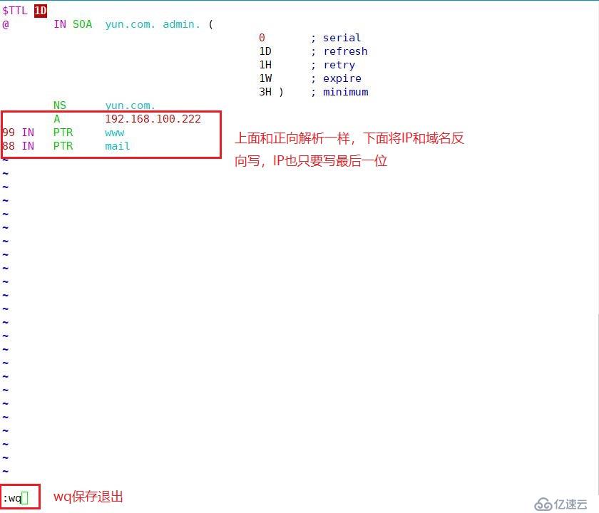 DNS正反解析