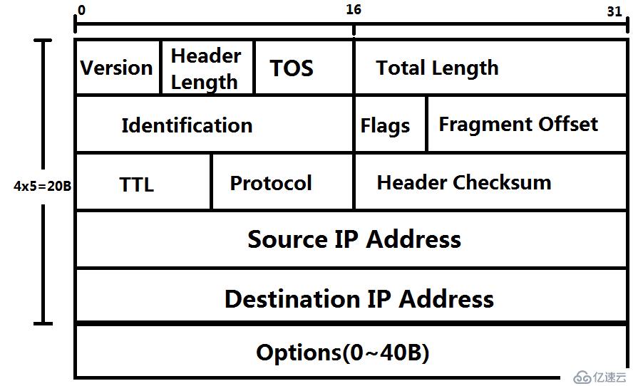 IP报头及IP地址