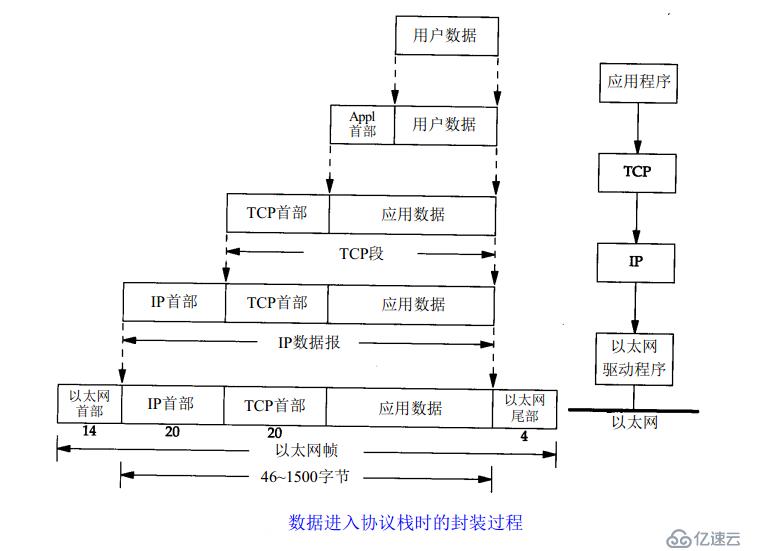 網(wǎng)絡(luò)的參考模型