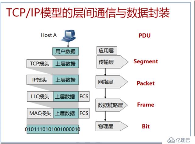 网工基础及osi模型理解