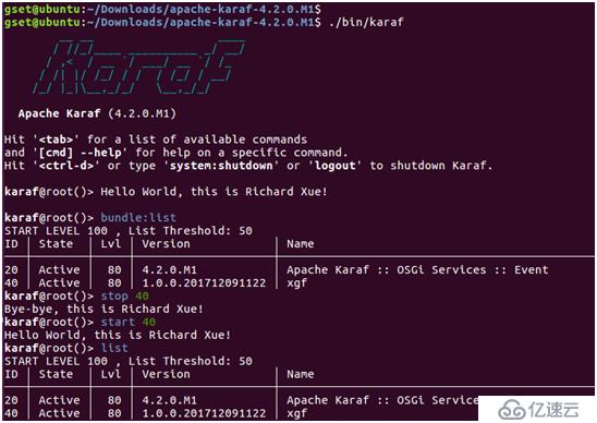 SDN in Action: Prepare for OpenDaylight Code