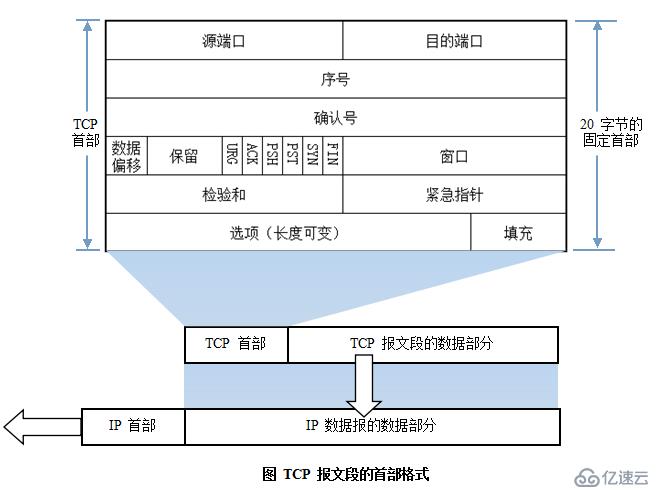 计算机网络基础知识点有哪些