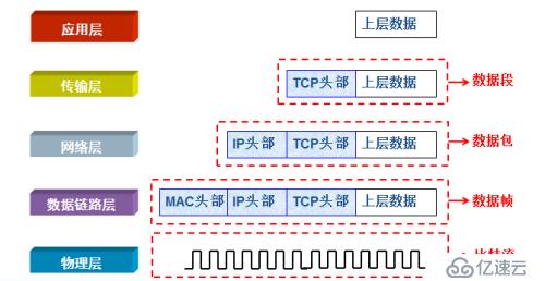 OSI七层模型和TCP/IP参考模型