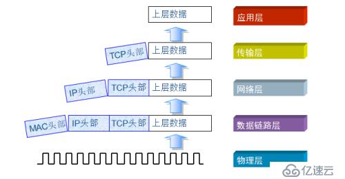 OSI七层模型和TCP/IP参考模型