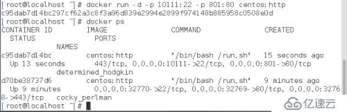 docker的网络管理（1)