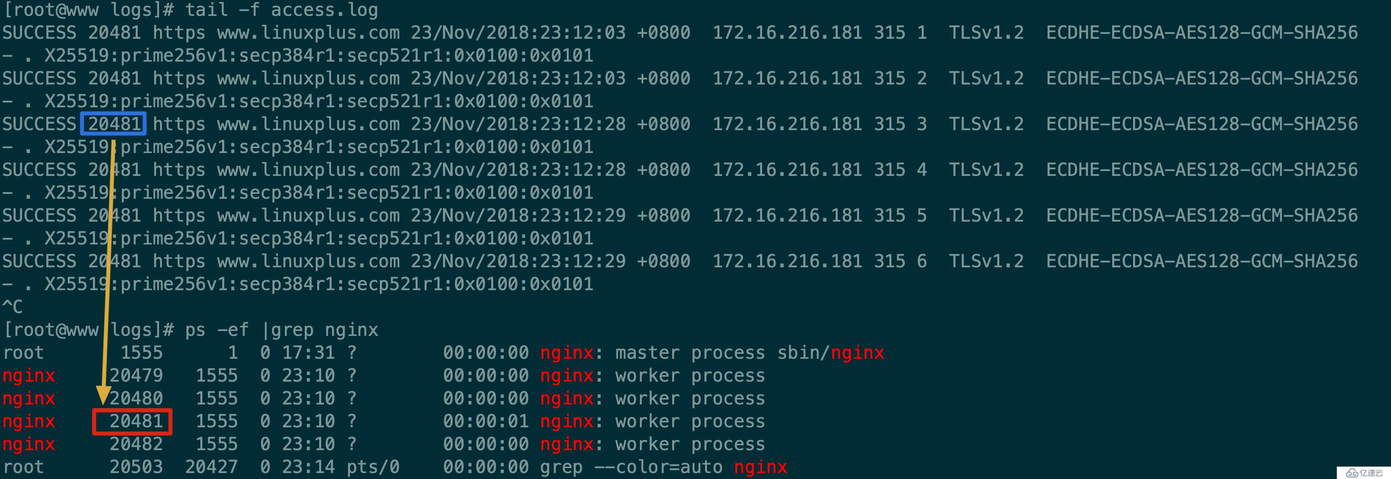 SSL/TLS深度解析--在 Nginx 上部署 TLS