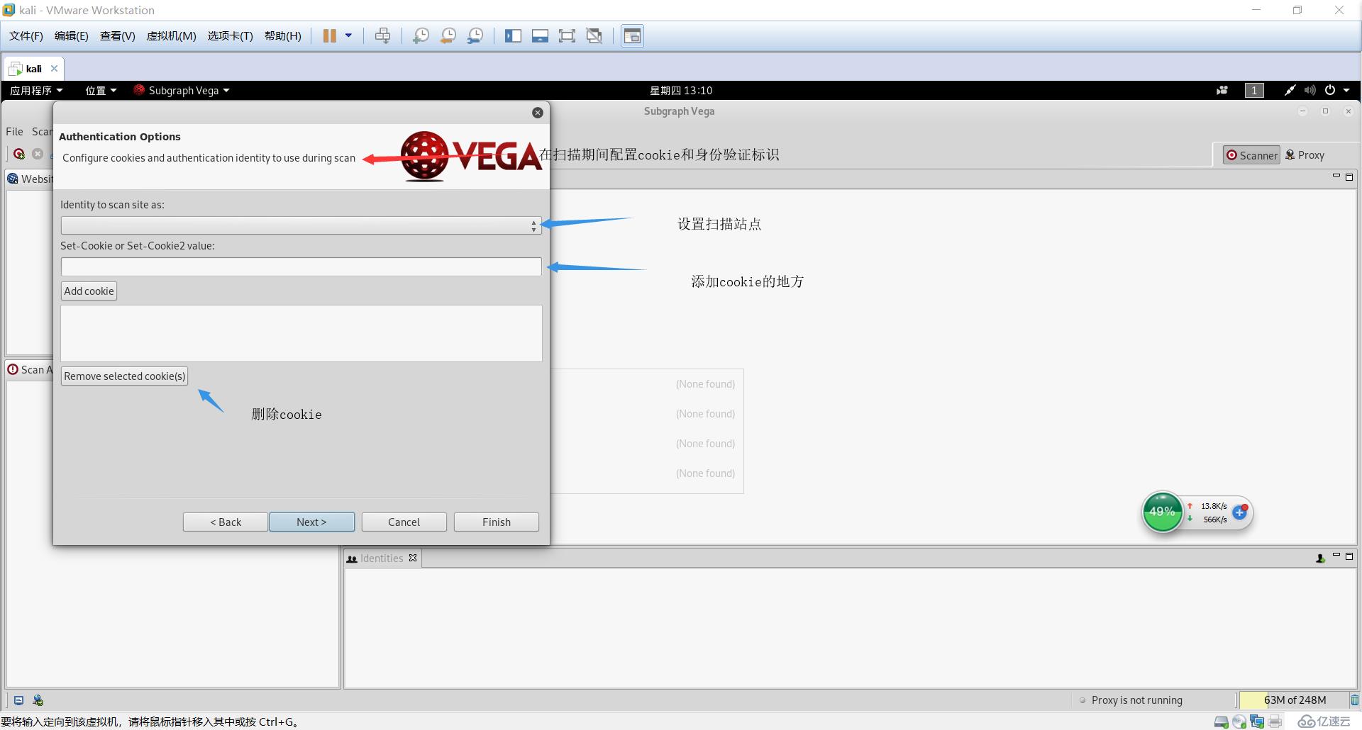 kali扫描工具--vega