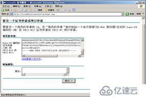 windows server 2003搭建CA服务器并启用https（SSL）