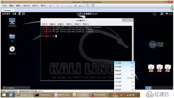 kali linux内网嗅探