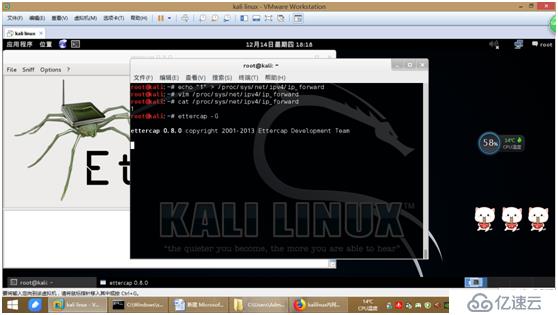 kali linux内网嗅探