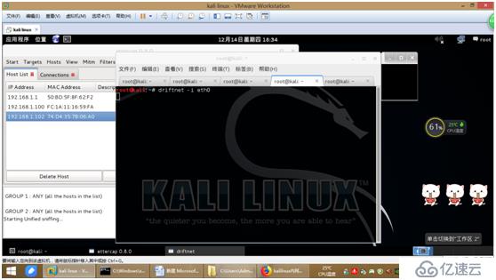 kali linux内网嗅探