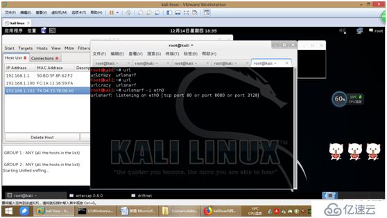 kali linux内网嗅探