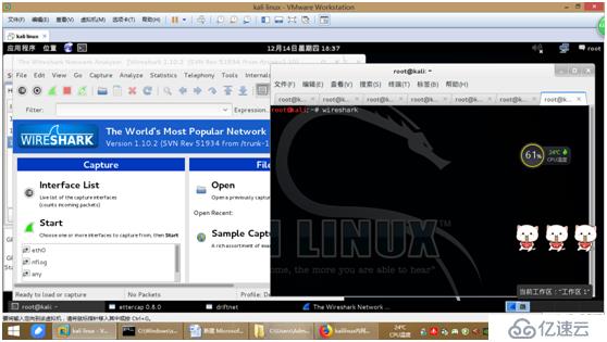 kali linux内网嗅探