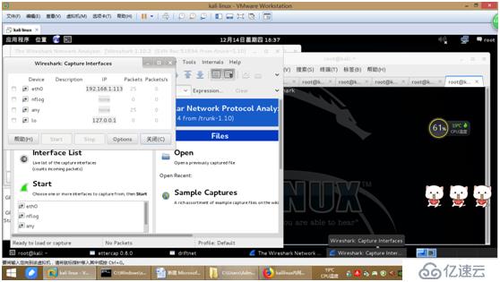 kali linux内网嗅探
