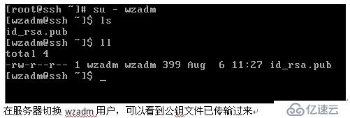 SSH通过密钥对验证方式进行远程访问及控制