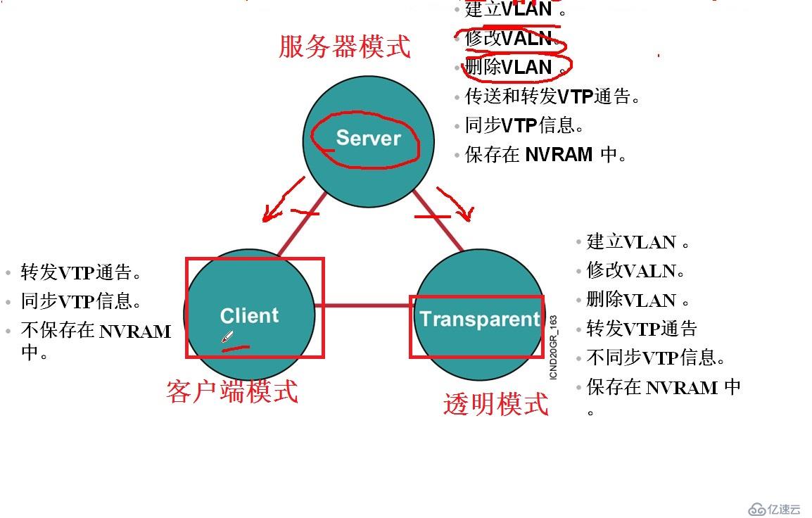 VTP协议介绍及配置