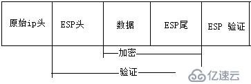 网络安全——ipsec