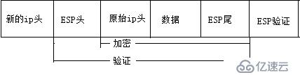 网络安全——ipsec