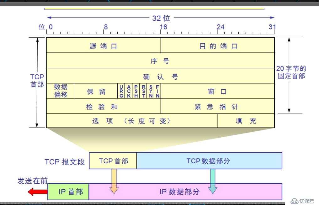 传输层协议