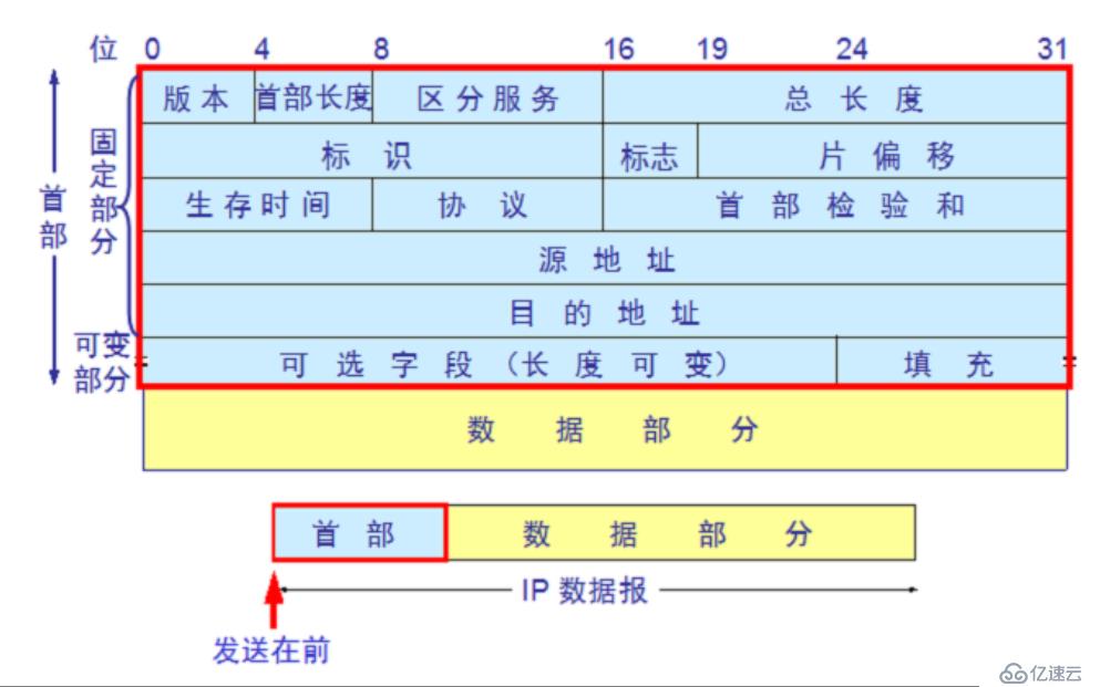 IP编址