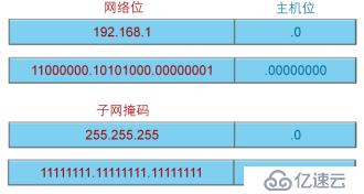 IP编址