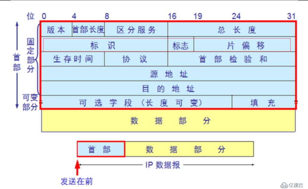 IP编址