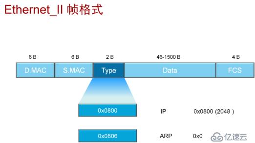 分层模型介绍