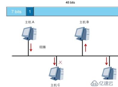 分层模型介绍