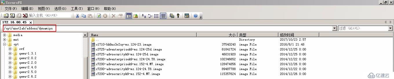 2、EVE-NG镜像导入（Dynamipshe和IOL）