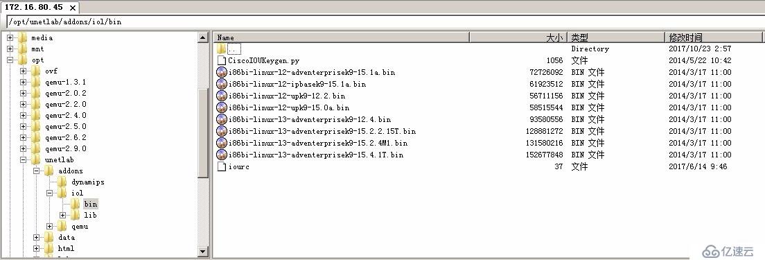 2、EVE-NG镜像导入（Dynamipshe和IOL）