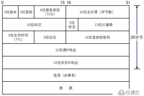 网络协议报文结构与抓包示例