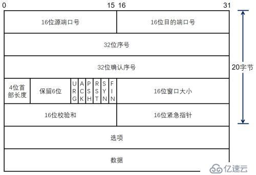 网络协议报文结构与抓包示例