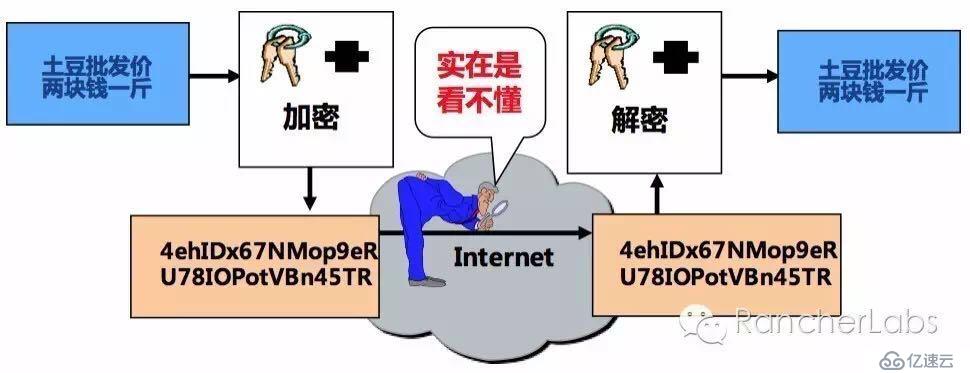 Rancher Managed Network实践