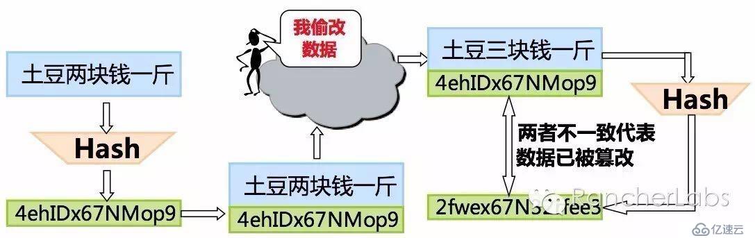 Rancher Managed Network实践