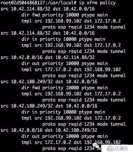 Rancher Managed Network实践