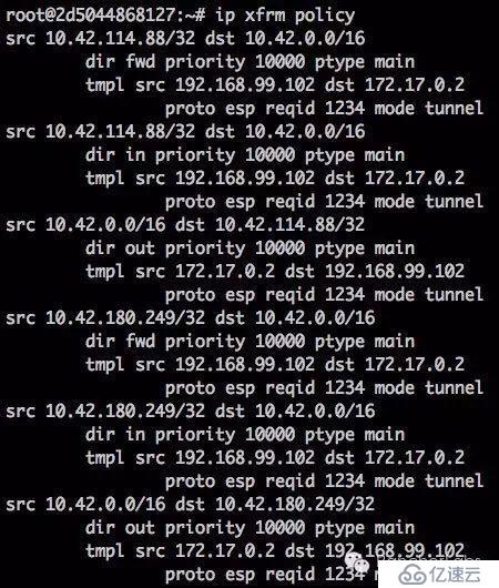 Rancher Managed Network实践