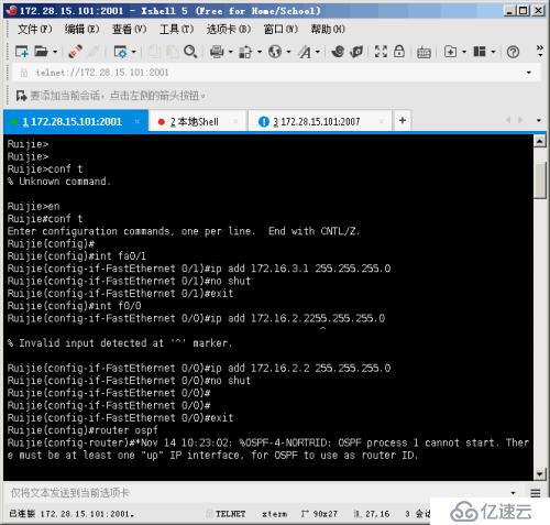 ospf生成树