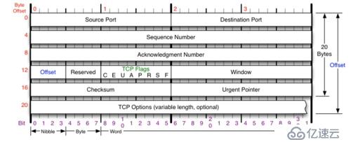 TCP协议分析