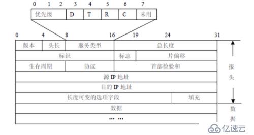 网络协议IP