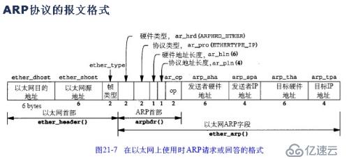 发送数据包和发arp应答包欺骗别人