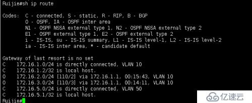 OSPF 基本配置