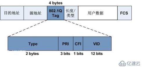 VLAN 学习笔记