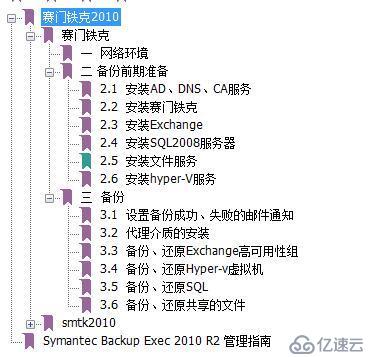 赛门铁克  Symantec Backup Exec 2010