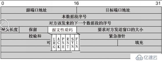 计算机网络学习（4）：网络协议与标准