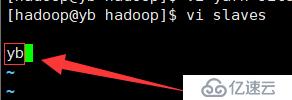 Hadoop伪分布式集群搭建总结