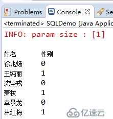 Java 中如何使用 SQL 查询文本